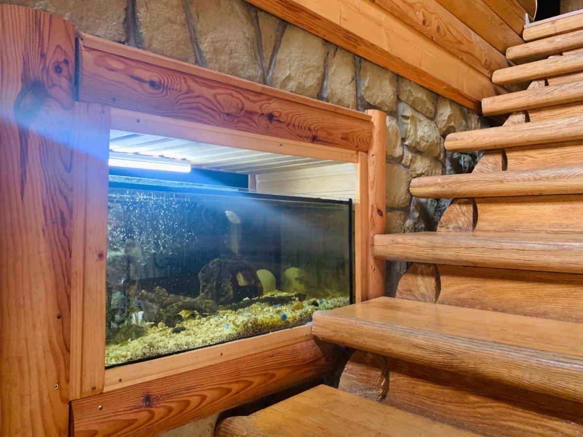Guest house бойківчанка *